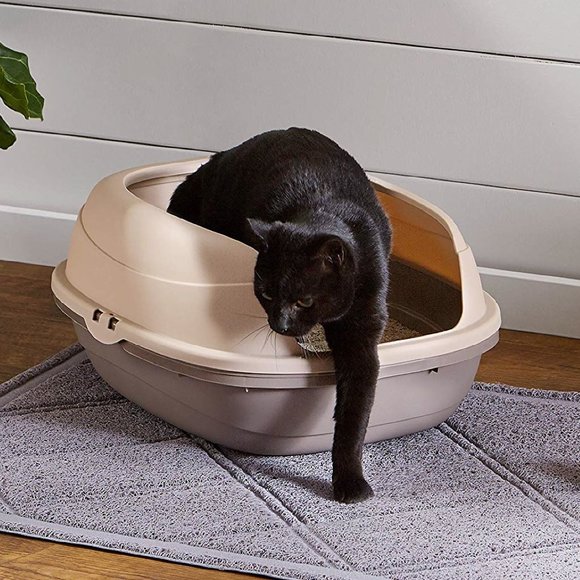 AmazonBasics Other New Open Top Cat Litter Box Poshmark